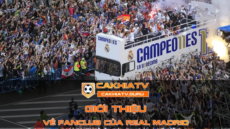 Giới thiệu fan club Real Madrid